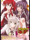 [STUDIO 華とりぼん] 成年華とりぼん57.5 パイスクールD×D (ハイスクールD×D)