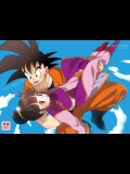 (C89) [S-FLAKE (ゆきみつ)] スキスキ悟空さ (ドラゴンボールZ)