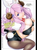 (C89) [ヴェクセルハフト (Kima-gray)] ナルメアさんとコスチューム大フィーバー (グランブルーファンタジー)_2