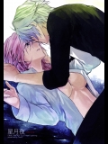 星月夜 (ファイナルファンタジー XIII-2)