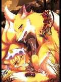 式無し妖々狐 (東方Project)