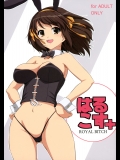 ハルヒのスケベなコスプレCG集！し