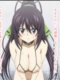 【30枚】IS のエロ画像集その2