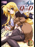 (C75) (同人誌) [PLUM] 魔法少女マジカルSEED・QUOD (リリカルなのは)