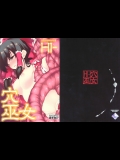 (C78) [TUKIBUTO] HI-穴巫女 (東方)